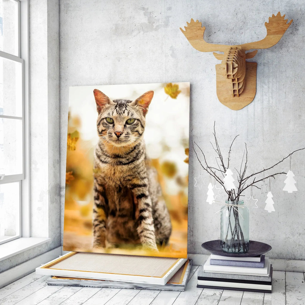 Turn Your Photos Into Canvas Prints, Customize Frames, and Decorate Your Home Walls With Art