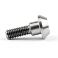 Topteng M6 x 20mm Titanium/Ti Disc Brake Rotor Bolts For Suzuki GSXR Yamaha R1 R6 YZF Motorcycle Accessories