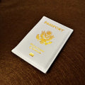 Travel Essentials USA Passport Cover Woman Cute Pink Personalized Passport Holder designer Travel Passport Case Pouch