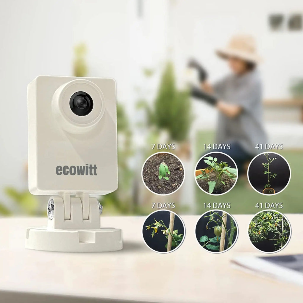 Ecowitt HP10 WittCam Outdoor Weather Camera, Monitoring Plants Grow/Weather Changing/Water Level Changing, IP66, APP Control