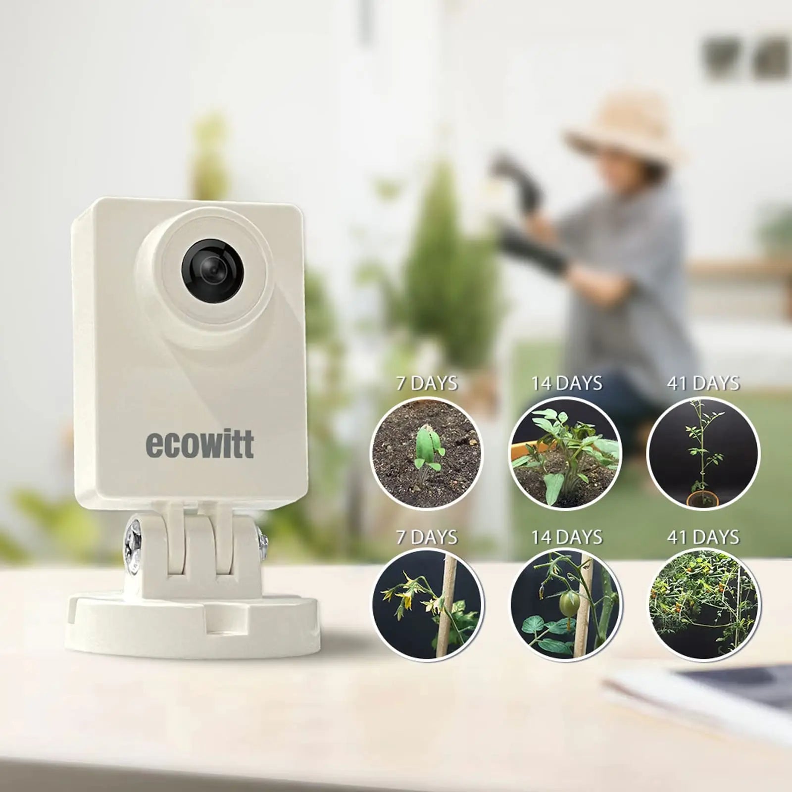 Ecowitt HP10 WittCam Outdoor Weather Camera, Monitoring Plants Grow/Weather Changing/Water Level Changing, IP66, APP Control