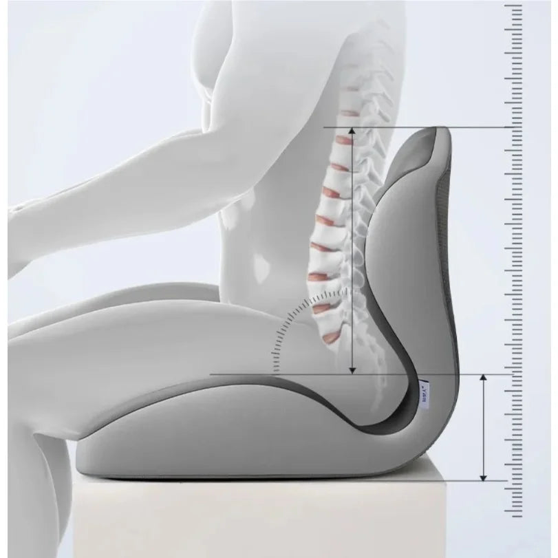 Lumbar Support Memory Foam Cushion - 2026 New Ergonomic Pressure Relief Pad for Sedentary Posture Correction