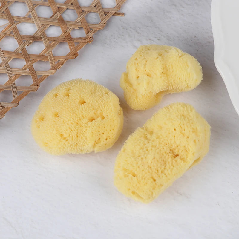 Special Texture Production Cleaning Tool Natural Greek Sponge Watercolor Painting With Absorbent Sponge Wiping Pen Painting