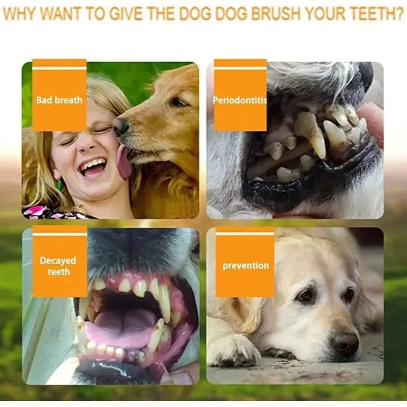 Pet Finger Toothbrush Kit Non-Toxic Silicone Dental Cleaning Tool for Dogs Cats Puppies Tartar Removal Bad Breath Care Cleaning