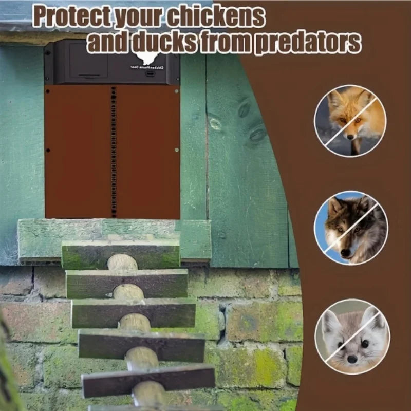 Automatic Chicken Coop Door Opener Battery Powered Light Sense Control Waterproof Pet Flap Accessories Upgrade ABS House Gate
