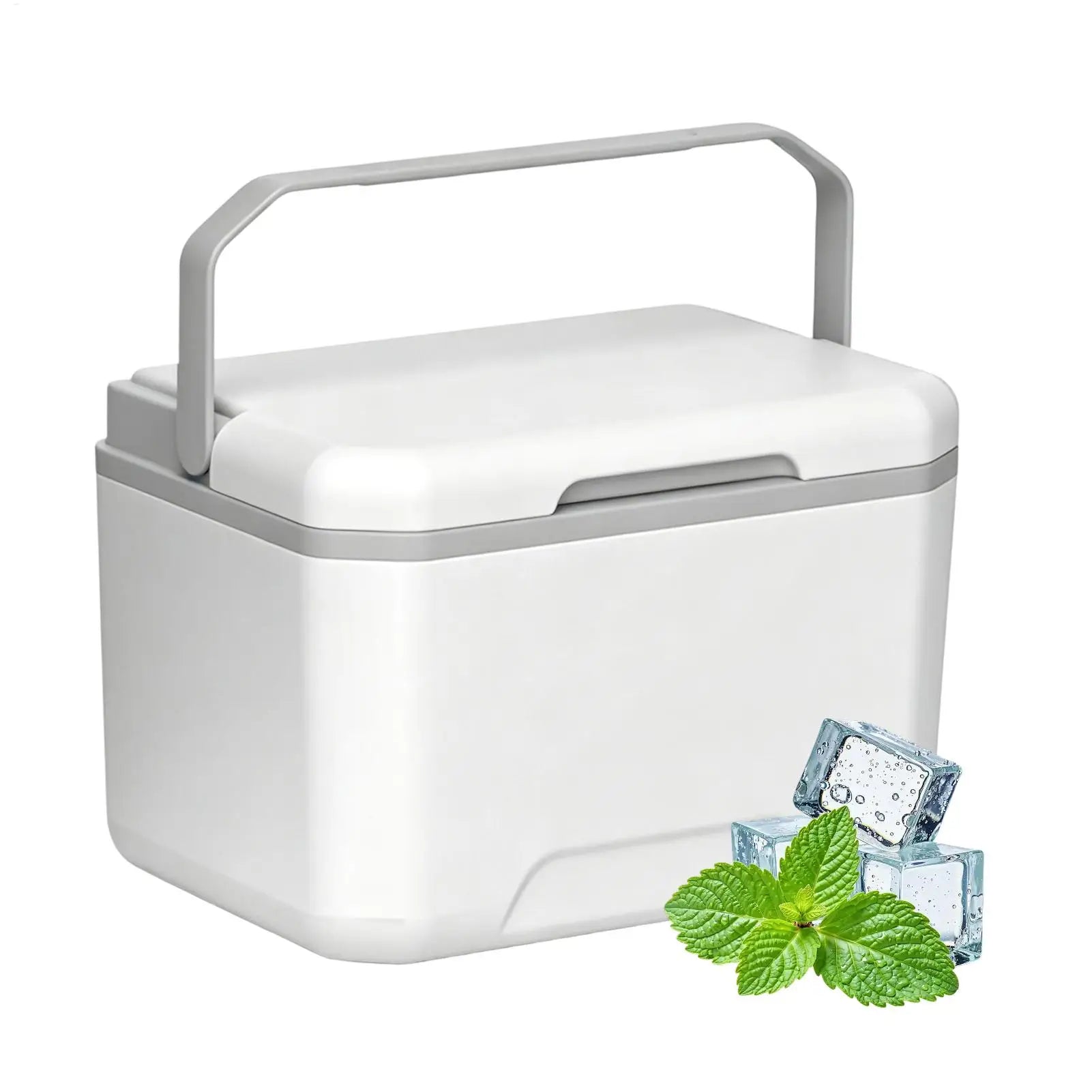 Camping Ice Cooler With Handle Portable 5L Insulated Ice Boxes Leakproof Hard Sided Coolers Chiller For Camping Picnic Fishing