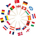 Brazil Flag Toothpick Flags Picks, 100Pcs Small Tiny Brazil Cupcake Toppers Stick Flags National Day, Birthday Party Decorations