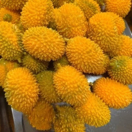 2026 Crunchy Squishy Durian and Dragon Fruit Stress Ball Squeeze Toy, Squishy Fidget Ball, ASMR Sensory Stress Relief Toy