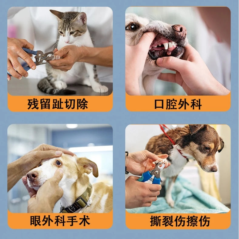 Animal Veterinary Glue Tissue Adhesive Wound Closure Skin Surgical Adhesive