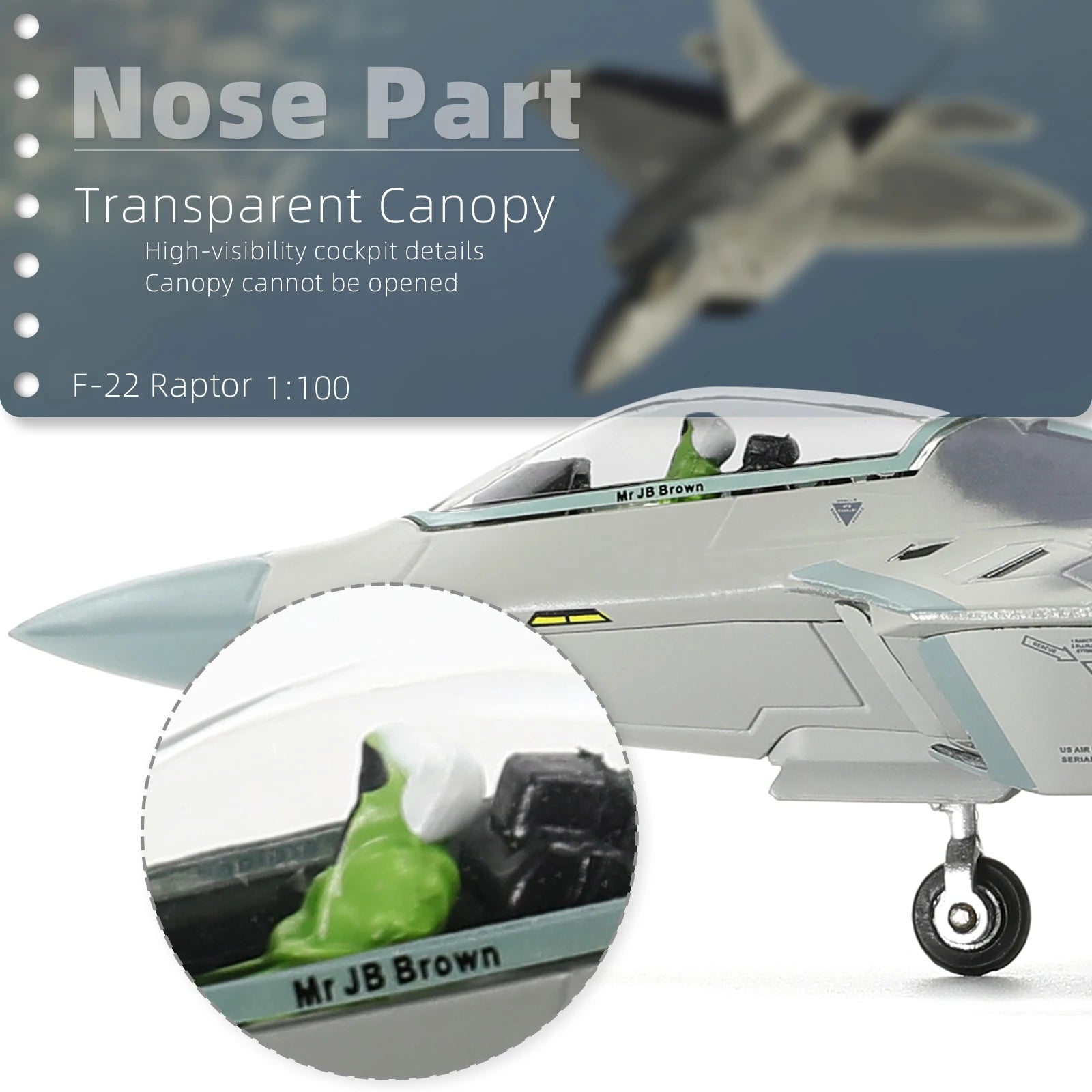 NUOTIE F-22 Raptor 1/100 Scale Diecast Metal Fighter Jet Model Alloy Model  (HO 49th FW)