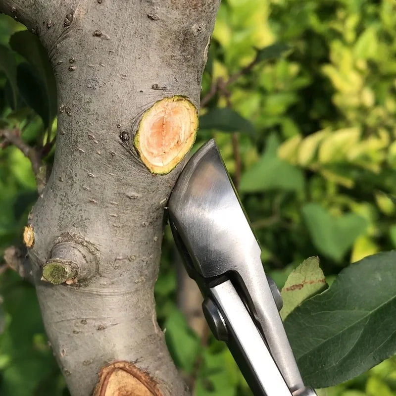 210mm Stainless Steel Professional Ball Tip Bonsai Shears Branch Knob Hybrid Cutter Bonsai Tools HRC 50