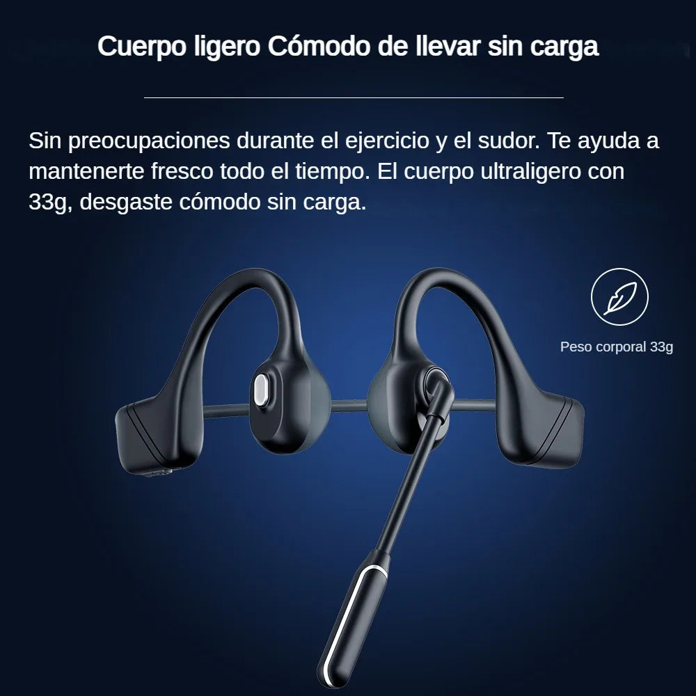 DG10 Professional Open Stereo Headphones with Noise Canceling Microphone Bone Conduction BT5.3 Business Style