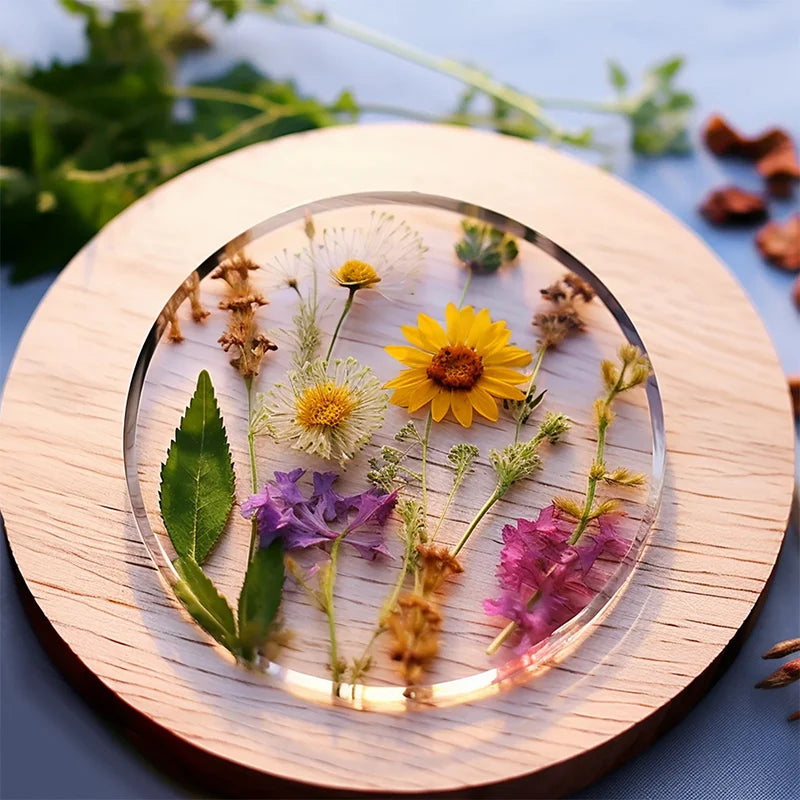 LOOLIFL, 183 high transparency UV resin adhesive, touchable adhesive, DIY、 Model, nail art, with accelerated curing lamp