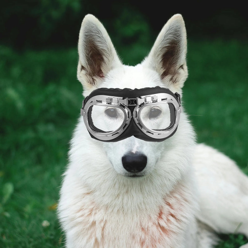 Pet Sunglasses For Dogs Cats Lightweight Durable Party Photo Props, Uv Protective Eye Wear Transparent Pet Glasses