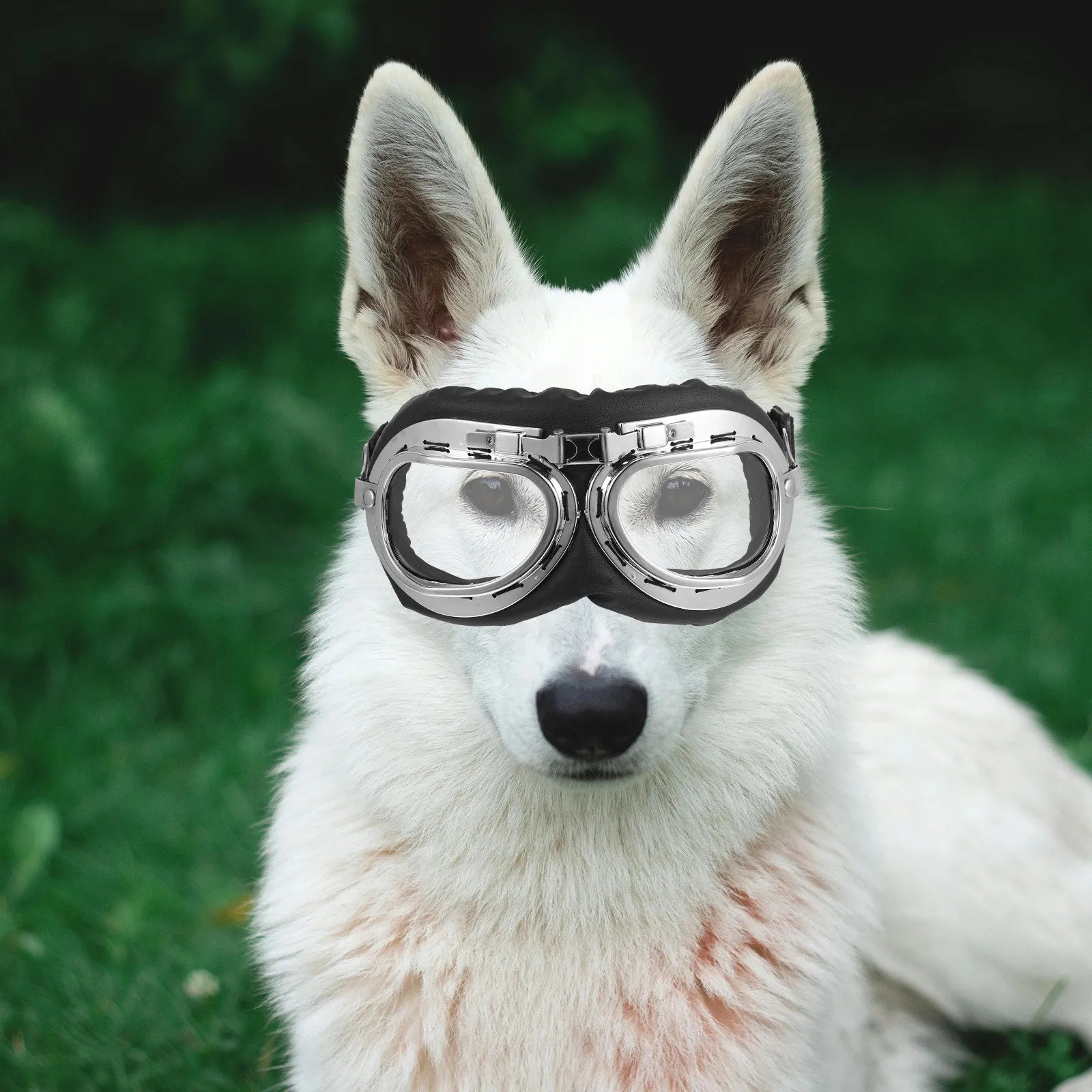 Pet Sunglasses For Dogs Cats Lightweight Durable Party Photo Props, Uv Protective Eye Wear Transparent Pet Glasses