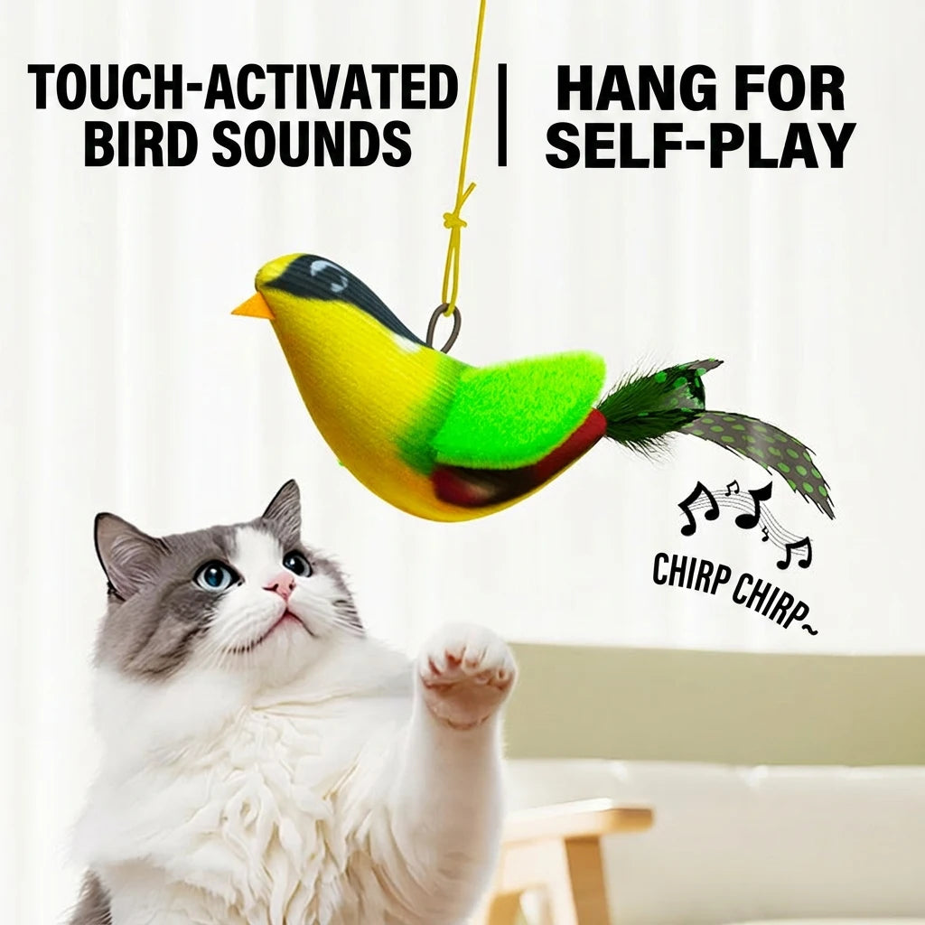 iLMH Indoor Interactive Birds Toy for Cat Chasing Teasing Toy Sounding Catnip Cat Teaser Toy Self-hilarity Wall Hanging Cat Toy