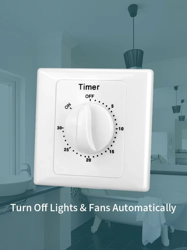 Intelligent Countdown Timer Switch 30Min Kitchen Digital Electrical Timer  AC 220V 10A