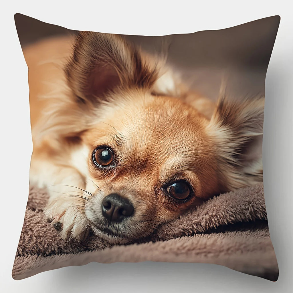 4PCS Chihuahua Pillow Covers: Dogs in Different Moods, Cute for Party, Home, Car (No Insert)