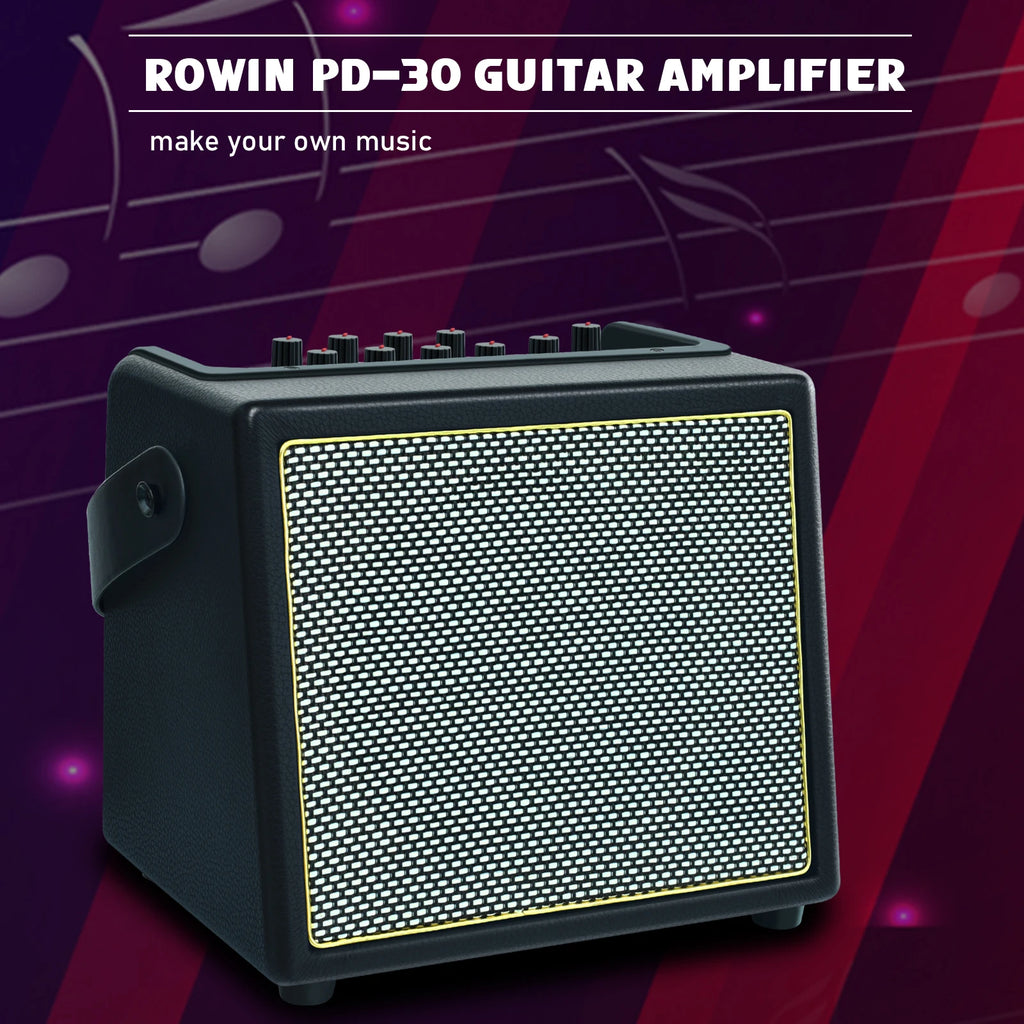 Rowin Acoustic Guitar Amplifier,30 Watt Bluetooth Speaker Rechargeable Battery Acoustic Guitar Amp with Reverb Chorus Effect