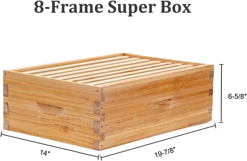 8 Frame Langstroth Bee Hive Coated with Beeswax Includes Beehive Frames and Waxed Foundations (2 Deep Boxes & 1 Medium Box)