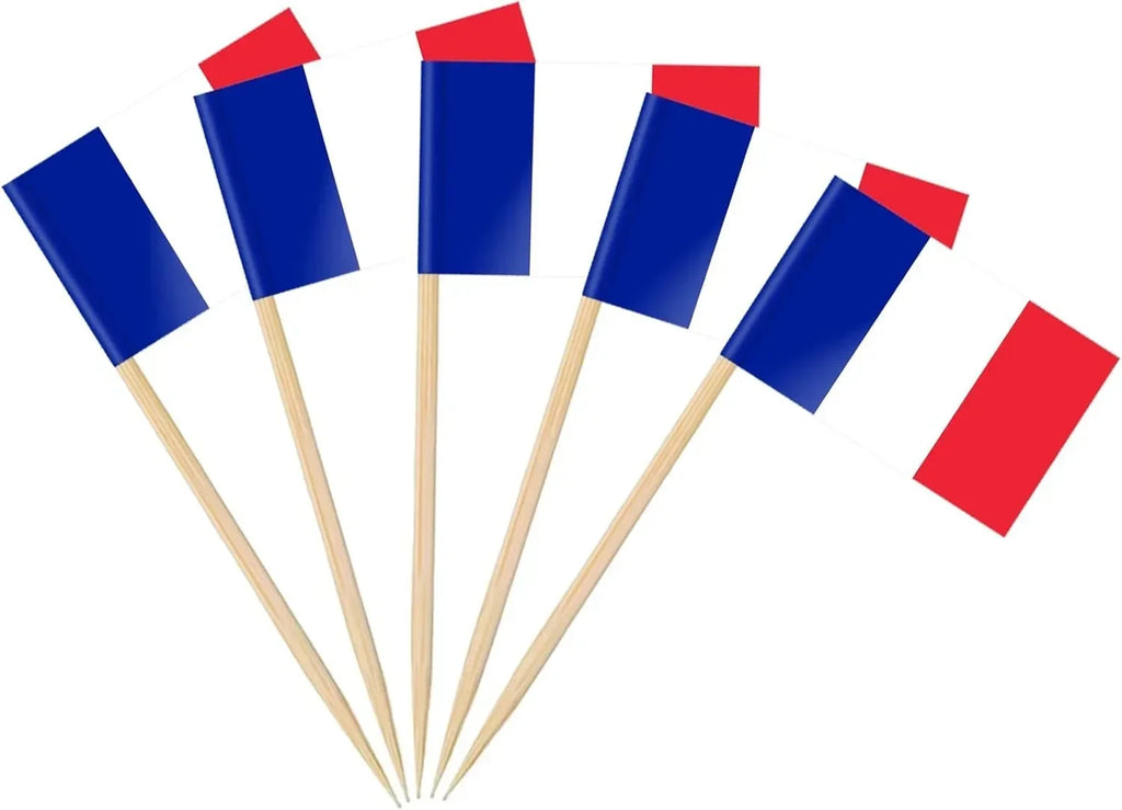 Brazil Flag Toothpick Flags Picks, 100Pcs Small Tiny Brazil Cupcake Toppers Stick Flags National Day, Birthday Party Decorations