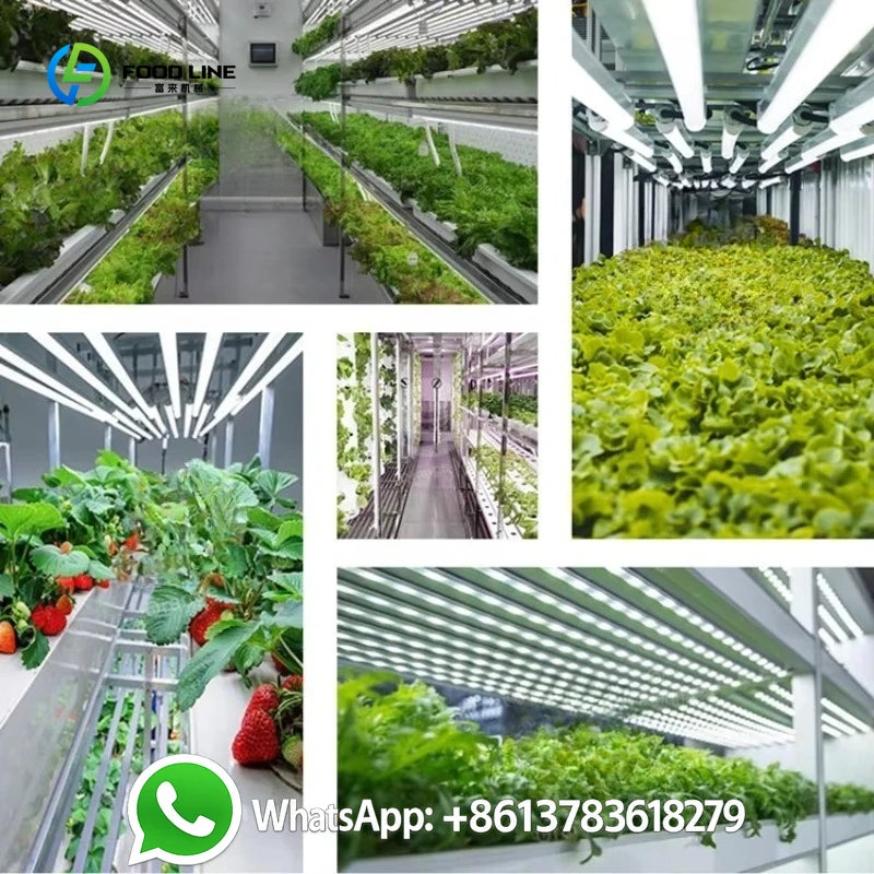 Customized Large Lettuce Grow Hydroponic System Shipping Container Farm Vertical Indoor Agriculture Climate Controlled