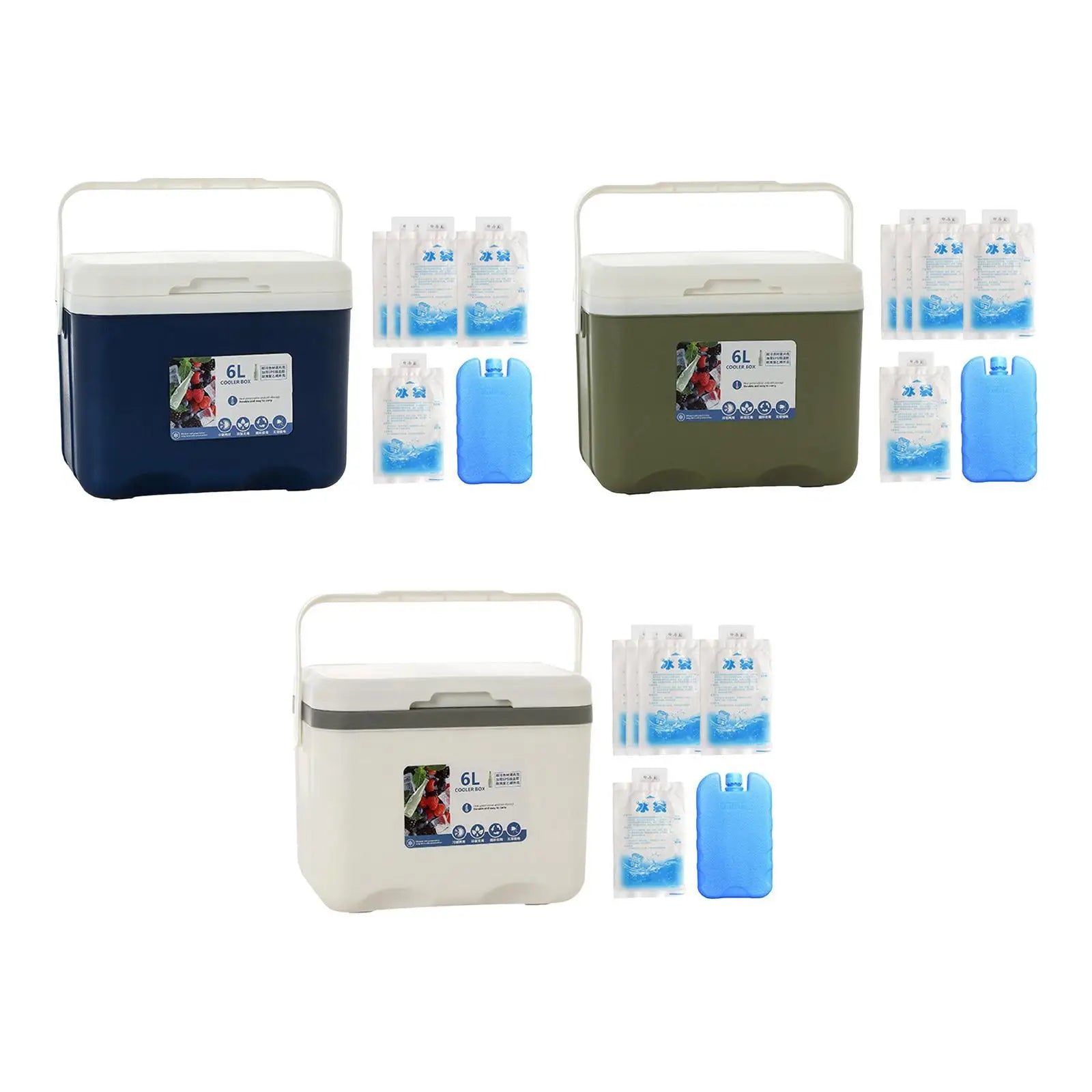 Camp Cooler, Ice Box Chest, 6 L with Handle Portable Cold Storage Case with Ice
