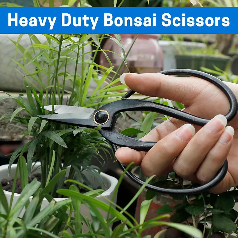 Professional Bonsai Scissors 7.3" Bonsai Shears Gardening Pruning Shears For Arranging Flowers Bonsai Clippers For Trimming Plan