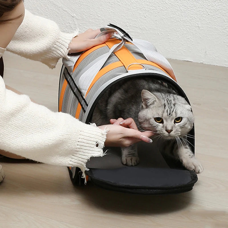 Pet Carrying Bag Outing Portable Cat Dogs Handbag Foldable Small to Medium Dog Cage Mesh Handbag