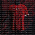 2026 Türkiye Summer Carnival Football Fans Flag Print Fans Black Red Two Color Jersey Adult Children Round Neck Fashion T-shirt