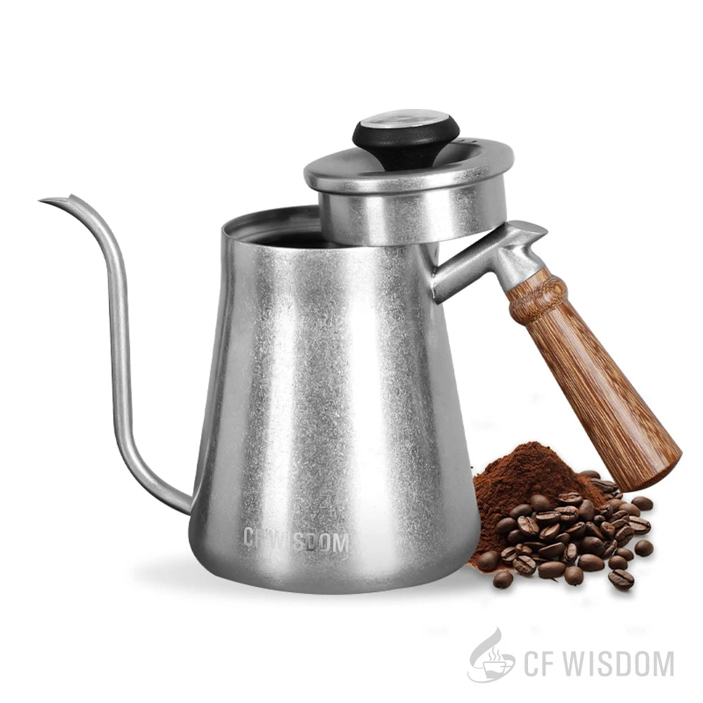 CF WISDOM Vintage Classic Silver Stainless Steel 600ML Coffee Hand Brewing Pot Temperature Display Water Bottle Coffee Utensils