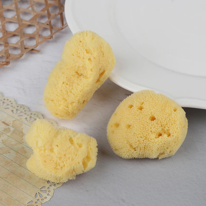 Special Texture Production Cleaning Tool Natural Greek Sponge Watercolor Painting With Absorbent Sponge Wiping Pen Painting
