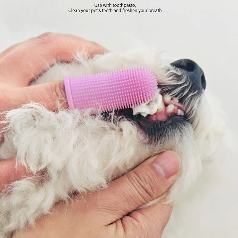 Soft Nontoxic Pet Finger Toothbrush for Dogs And Cats - Efficient Breath Care Pet Cleaning Tool Essential Pet Supplies