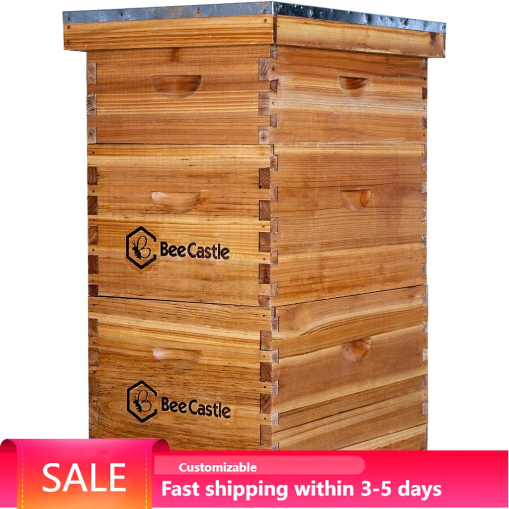 8 Frame Langstroth Bee Hive Coated with Beeswax Includes Beehive Frames and Waxed Foundations (2 Deep Boxes & 1 Medium Box)