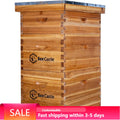 8 Frame Langstroth Bee Hive Coated with Beeswax Includes Beehive Frames and Waxed Foundations (2 Deep Boxes & 1 Medium Box)