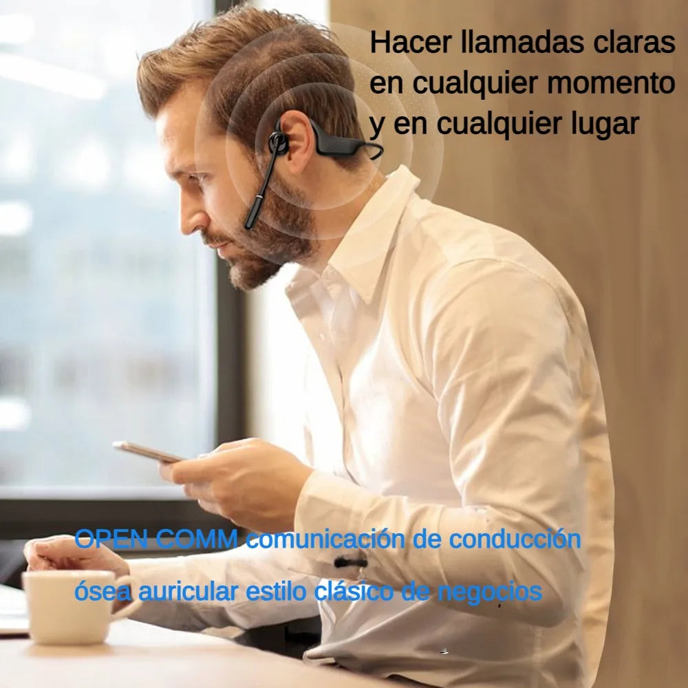DG10 Professional Open Stereo Headphones with Noise Canceling Microphone Bone Conduction BT5.3 Business Style