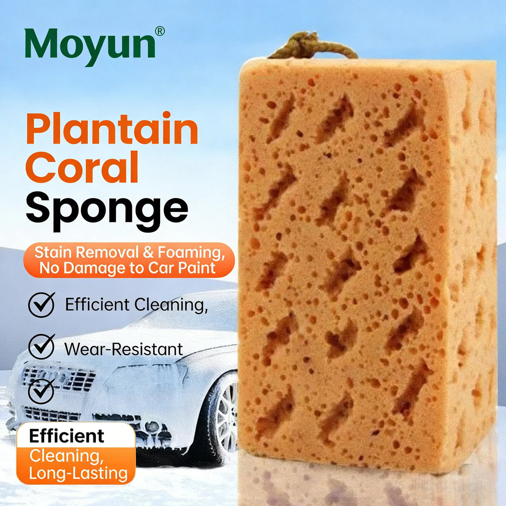 Medium Size Car Wash Sponge Coral Honeycomb Foam Non Scratch Auto Cleaning Sponge High Absorbency For Car Exterior Detailing