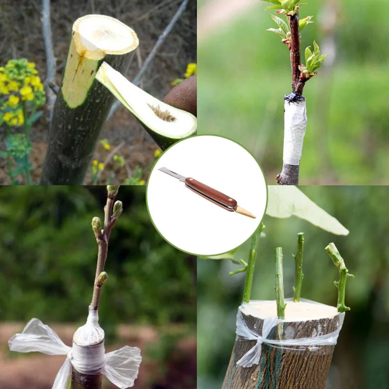 Grafting Cutter Tool Foldable Grafting Pruning Knife Professional Garden Grafting Cutter Stainless Steel Gardening Tools