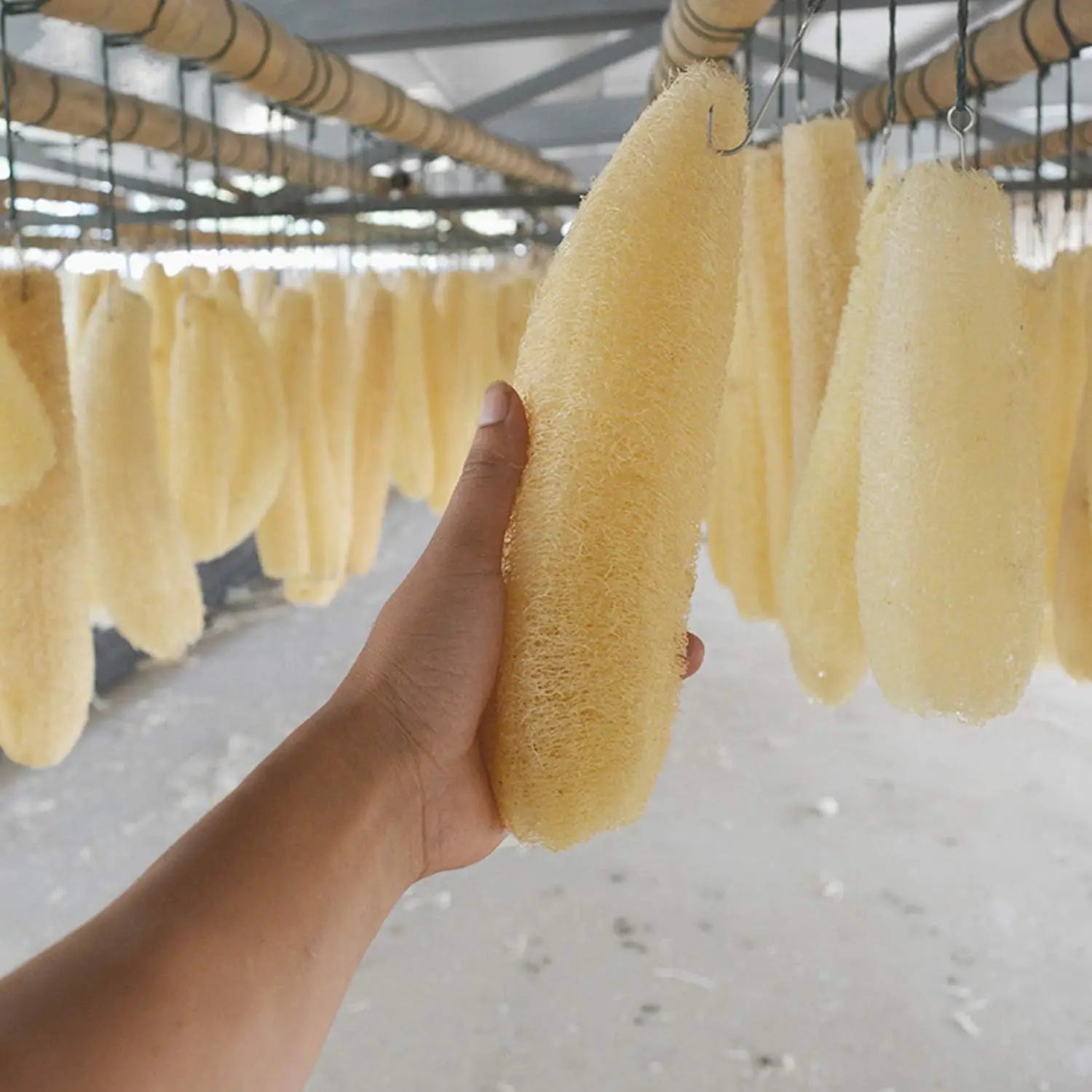 4pcs Full Loofah Natural Exfoliating Biodegradable Loofah Sponge Cellulose Brush Natural Shower Sponge For Kitchen Bathroom