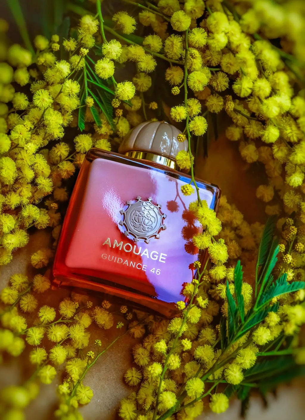 Amouage Guidance 46 Reasons Outlands Lineage 100ml 3.4oz Extrait De Parfum Spray Long Lasting Unisex Niche Fragrance Gourmet Warm Spicy Woody Scent Graduation Anniversary Christmas Holiday Gift Idea Birthday Present Cologne N