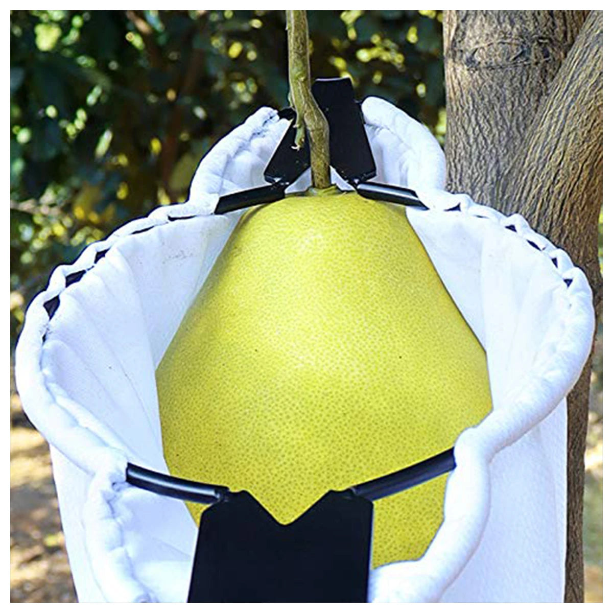 Fruit Picker Orchard WIth Blade Garden High Tree Picking Tool Tree fruit gathering Fruit Catcher Collection Pouch Farm Supplies