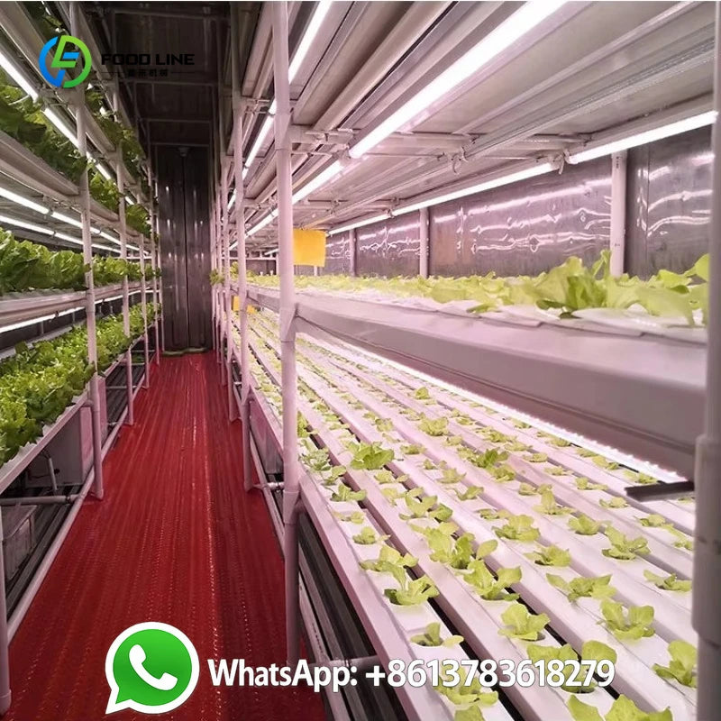 Customized Large Lettuce Grow Hydroponic System Shipping Container Farm Vertical Indoor Agriculture Climate Controlled