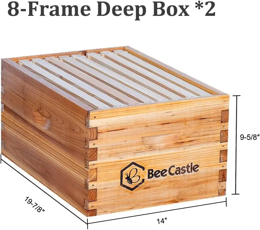 8 Frame Langstroth Bee Hive Coated with Beeswax Includes Beehive Frames and Waxed Foundations (2 Deep Boxes & 1 Medium Box)