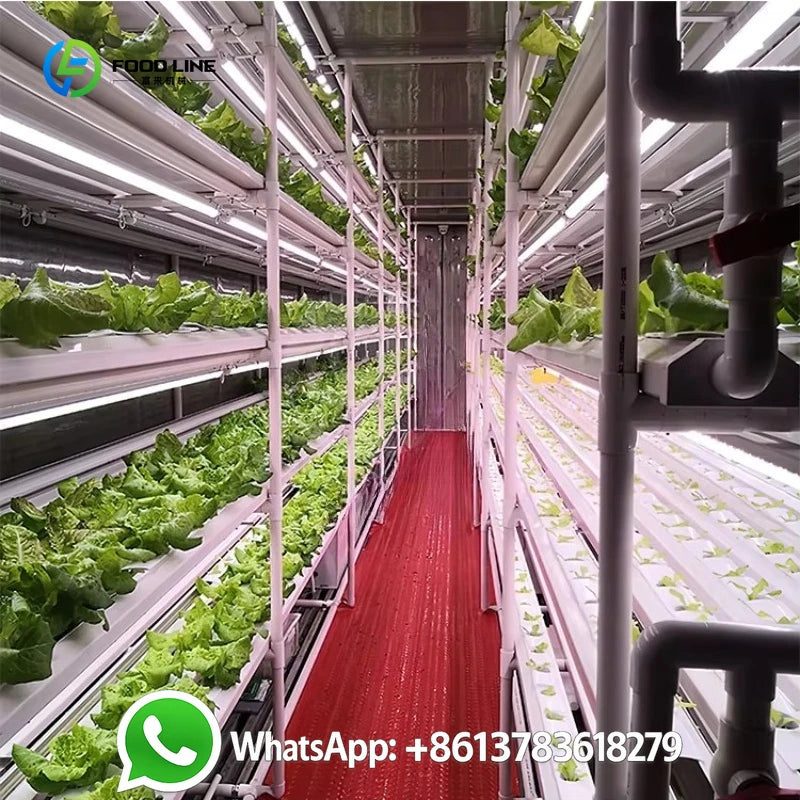 Customized Large Lettuce Grow Hydroponic System Shipping Container Farm Vertical Indoor Agriculture Climate Controlled