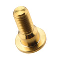 New 5PCS Rear Titanium Brake Disc Rotor Bolts Screw Gold fit for Yamaha YZF R6 600 R1 R1M MT-10 SP 1000