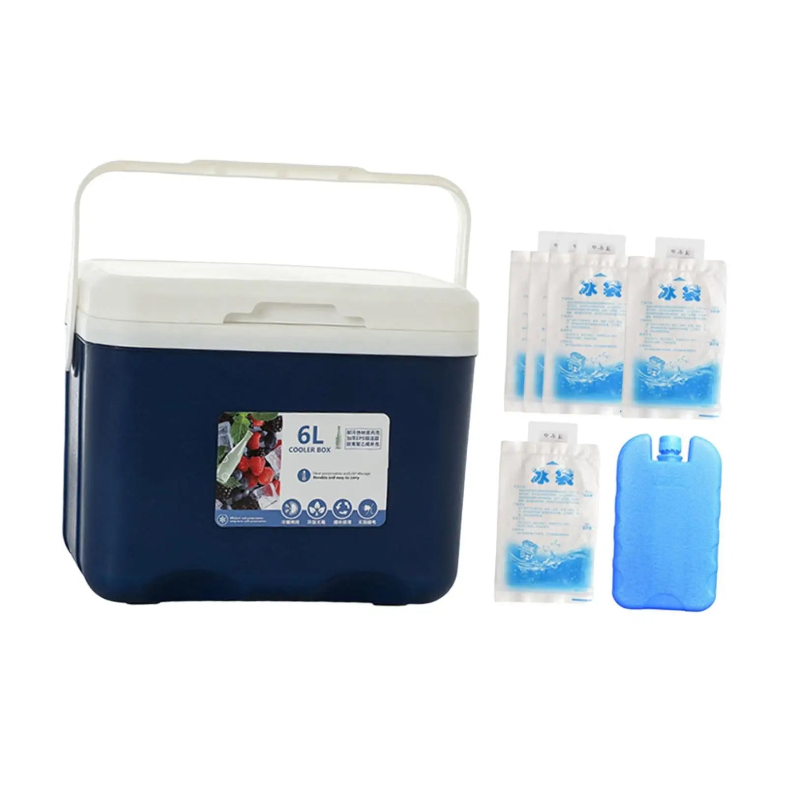 Camp Cooler, Ice Box Chest, 6 L with Handle Portable Cold Storage Case with Ice
