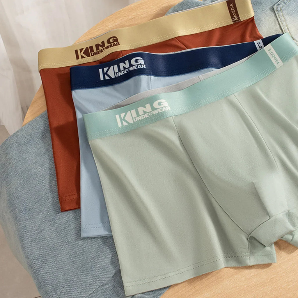 3Pcs Summer Thin Ice Silk Men Boxershorts Graphene Antibacterial Man Underwear Breathable Cool Men's Panties Boxershorts