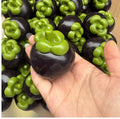 Creative Mangosteen Squishy Fidget Toy Building Block Filling No Rebound Squeeze Toy ASMR Sensory Anti Stress Toys for Adults