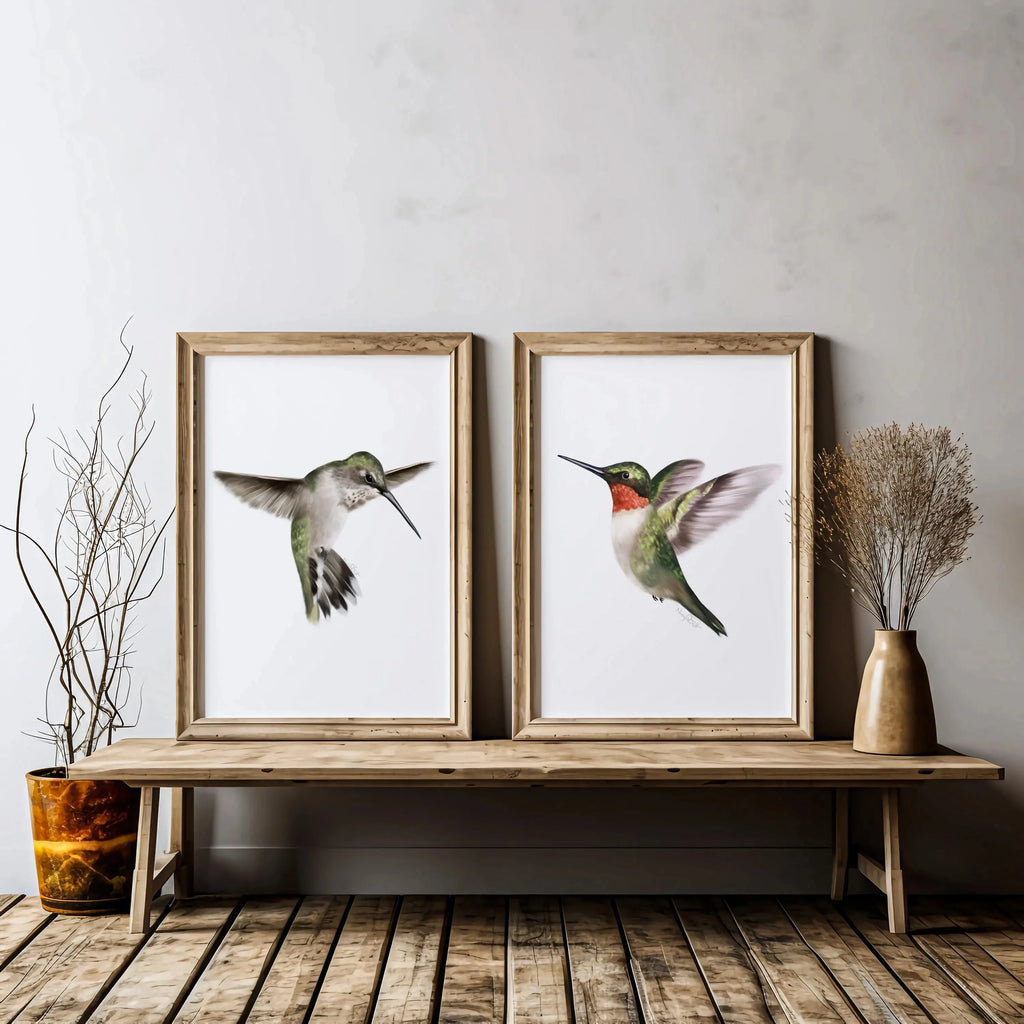 2pcs/set of Retro Hummingbird Animal Canvas Prints Minimalist Retro Bird Farmhouse Wall Art Posters for Living Room Home Decor