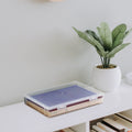 Sturdy Plastic Storage Box A4 Document Organizer File Case for Business Certificates Travel Documents Photos Cards Postcards